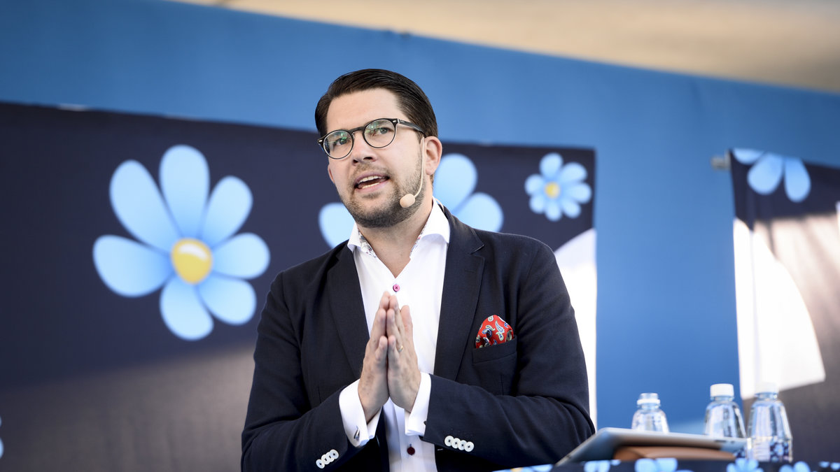 Åkesson gick med i SD när partiet fortfarande använda hakkors, menar Löfven. 